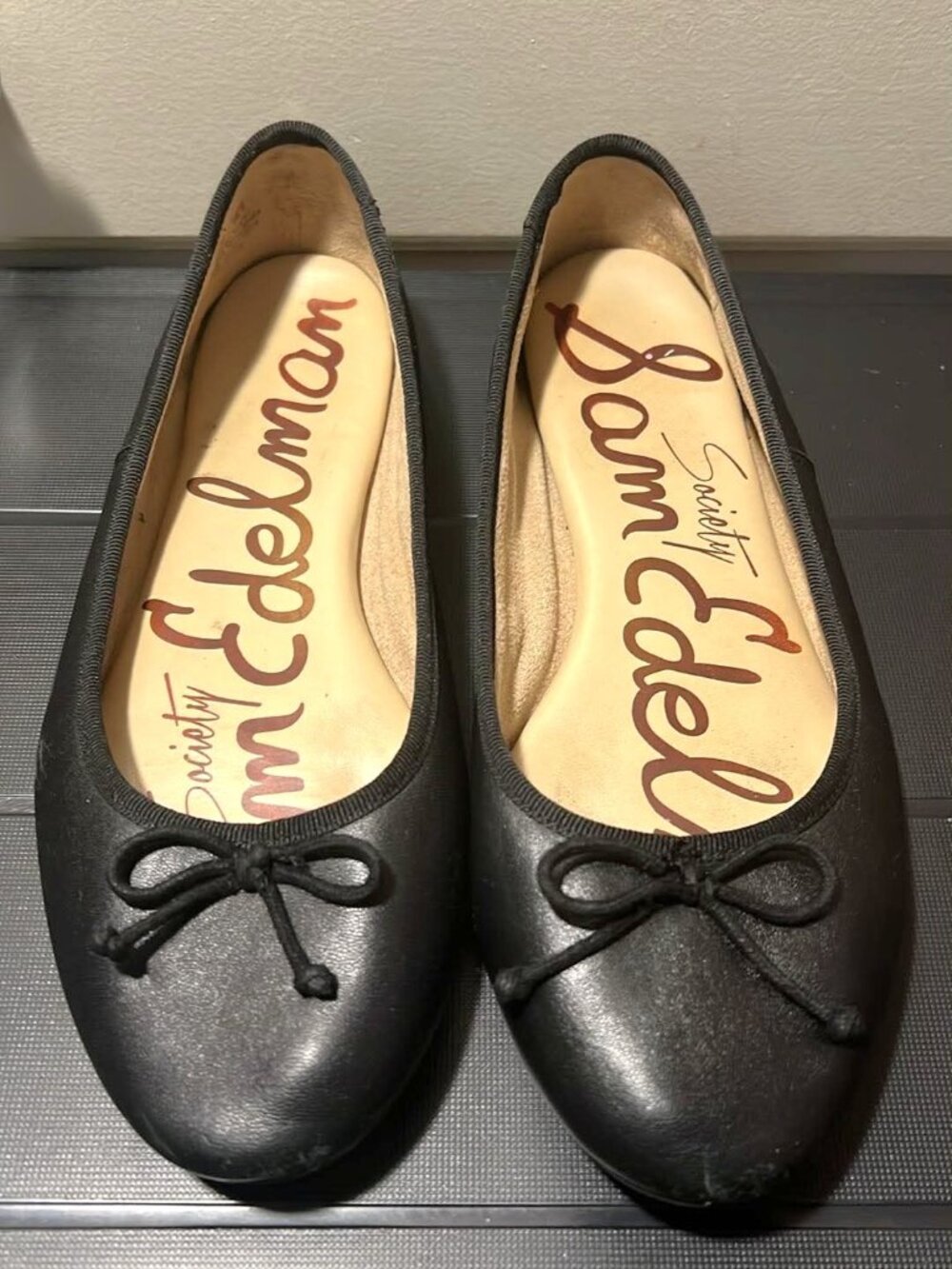 Sam Edelman “Felicia” Ballet Flats – Size 8.5